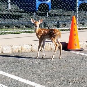 Meet your Posher, Mark